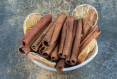 Apakah Kayu Manis Bisa Turunkan Gula Darah Secara Efektif? Ini Hasil Penelitian