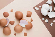 Cewek Harus Tau Nih! Ini Rahasia Cantik dan Glowing Dibalik Kulit Telur, Gimana Caranya? Simak!