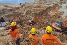 Kasus Tambang Maut Pemali Bangka, Brigadir Fa Bantah Kepemilikan Excavator