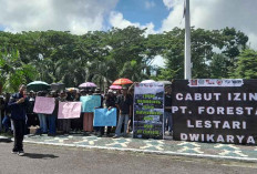 Aksi Damai di DPRD Belitung, Tuntutan Massa FPMB: Cabut Izin PT Foresta