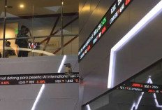 Investor Pasar Modal RI Tembus 17 Juta, Minat Investasi Makin Merata
