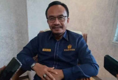 Angka Pengangguran Terbuka 2024 di Bangka Belitung Turun 