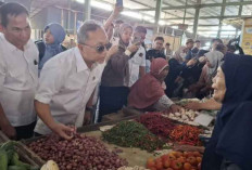 Pemerintah Jaga Stabilitas Harga Pangan untuk Lindungi Konsumen dan Petani