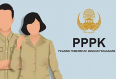 PPPK Minta Masa Kontrak Dihapuskan, Berikut Alasannya