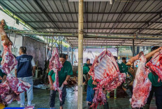 Menjaga Generasi Indonesia Lewat Spirit Kurban, Lebih dari Sekadar Ibadah