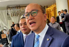 Raja Yordania Tawarkan Tiga Proyek Strategis ke Danantara untuk Perkuat Investasi Bilateral