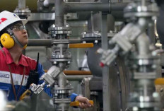 Pertamina Klaim Proyek Hidrogen Hijau Serap Ratusan Pekerja Lokal