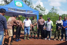 Ribuan Bibit Mangrove Ditanam di Beltim untuk Cegah Abrasi Pesisir