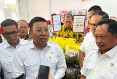 Bapanas: Realisasi Distribusi Beras SPHP Tembus 239,5 Ribu Ton hingga Agustus 2025