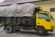 Identitas Pemilik 17 Ton Timah Ilegal Tangkapan Polres Belitung Mulai Terungkap, Ada Sejumlah Nama