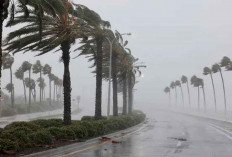 BMKG Deteksi 3 Bibit Siklon Tropis, Berpotensi Picu Cuaca Ekstrem di Indonesia