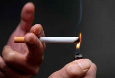 Kebijakan Penyederhanaan Tarif Cukai Rokok: Ancaman Baru Peredaran Rokok Ilegal