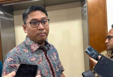 Wamentan Pastikan Stok Sapi Aman Jelang Idul Adha 1446 H, PMK Terkendali