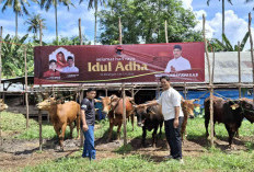 Maknai Idul Adha, Wahyudi Wirayudha Tekankan Pentingnya Berbagi dan Bersyukur