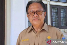 Dinkes Babel Catat 819 Kasus DBD dengan 11 Orang Meninggal, Terbanyak di Belitung