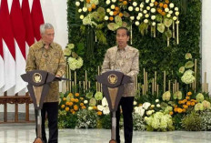 29 Perusahaan Singapura Antusias Berinvestasi di IKN, Jokowi Tawarkan Beberapa Peluang Investasi 