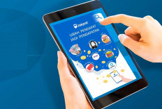 Cara Dapat Saldo DANA Gratis dari Aplikasi Survei JAKPAT 2025, Cuan dari Waktu Santai