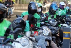 Terungkap! Pendapatan Tertinggi Driver Ojol Grab 2025 Tembus Segini