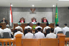 Sidang Perkara Penyelundupan Timah Belitung, Penasihat Hukum Minta Hakim Bebaskan 14 Terdakwa 
