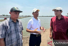 KKP Komitmen Fasilitasi Izin Edar Biostimulan Rumput Laut untuk Pertanian