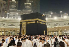 RI Negosiasi Ekspor Ikan Budidaya ke Arab Saudi untuk Kebutuhan Haji