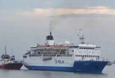 PT Pelni Siapkan 751.550 Tiket Mudik Lebaran 2026, Diskon 30 Persen untuk Keberangkatan Awal