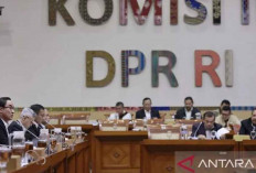 BNN Ubah Ladang Ganja Jadi Kebun Kopi di Gayo Lues Aceh