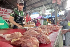 Stok Daging Ayam di Babel Aman Selama Ramadan, Harga Tetap Stabil