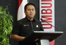 Fraksi PDI Perjuangan Soroti Retribusi Beltim Tembus 544 Persen, Minta Pemkab Jelaskan Penyebabnya