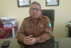 1.290 Formasi PPPK Terisi di Beltim, 68 Masih Kosong: BKPSDM Pastikan Optimalisasi Pemenuhan Kebutuhan OPD