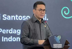 Mendag Budi Santoso Sebut Konflik Iran-Israel Tak Ganggu Ekspor RI