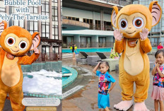 Fairfield Belitung Hadirkan Promo Bubble Pool Bersama Pely The Tarsius