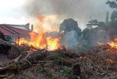 Warga Belitung Diimbau Tidak Bakar Lahan di Musim Kemarau