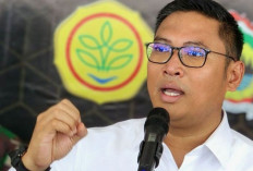 Kementan Ungkap 139 PKS Turunkan Harga TBS Sawit, Wamentan Minta Harga Segera Dinaikkan 