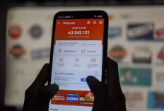 Aturan Baru OJK, Penyelenggara Pay Later Hanya Bank dan Perusahaan Pembiayaan