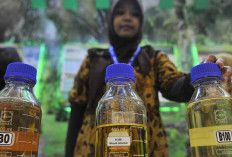 Mengokohkan Industri Kelapa Sawit, Mengakselerasi Transisi Energi