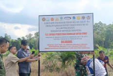 Ribuan Hektare Lahan Sawit di Kawasan Hutan Beltim Disita Negara, Ini Penjelasan Satgas PKH 