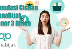 Simulasi Pinjaman DanaBijak Tenor 3 Bulan: Pinjam Rp1 Juta, Ini Total Pengembaliannya