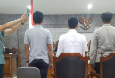 Sidang Penyelundupan Timah Ilegal Belitung, Saksi dari Polres Ungkap Modus Truk ke Jakarta