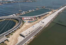 Era Prabowo, Proyek Giant Sea Wall Lanjut: Solusi Permanen Atasi Rob Pantura