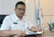 9 Langkah Strategis Pemprov Babel untuk Capai Target Pertumbuhan Ekonomi Daerah 4 %