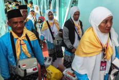 Kemlu Pastikan Tak Ada Korban Jiwa dalam Kecelakaan Bus Jemaah Haji di Madinah