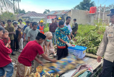 Warga Tanjungpandan Tewas Tersengat Listrik Saat Tebang Pohon, 2 Kali Ledakan Terdengar