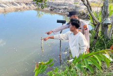 Kasihan, Balita 4 Tahun Meninggal Usai Tenggelam di Kolam Bekas Tambang Beltim