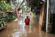 Ketika Iklim Menjadi Risiko Ekonomi, Alarm Bagi Indonesia