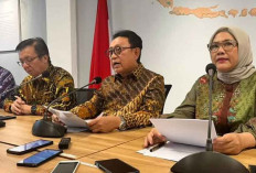 Efek Penerapan B50: GAPKI Prediksi Harga CPO Naik Tahun Depan