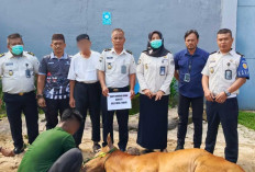 Semangat Idul Adha, Lapas Tanjungpandan Tebar Kepedulian Lewat 7 Hewan Kurban