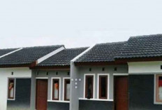 Pengembang Soroti Daya Beli Masyarakat, Tantangan Realisasi Target 3 Juta Rumah