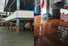 Banjir Rob Rendam 81 Bangunan di Belitung Timur, BPBD Pastikan Situasi Terkendali