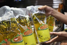 Kementerian Perdagangan Usulkan Relaksasi Wajib Pungut untuk Stabilitas MinyaKita